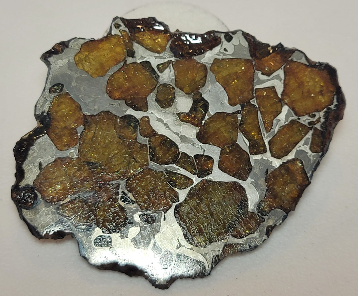 Imilac Pallasite Complete Meteorite Etched Slice - 18.6 grams