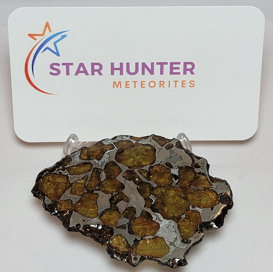 Imilac Pallasite Complete Meteorite Etched Slice - 18.6 grams