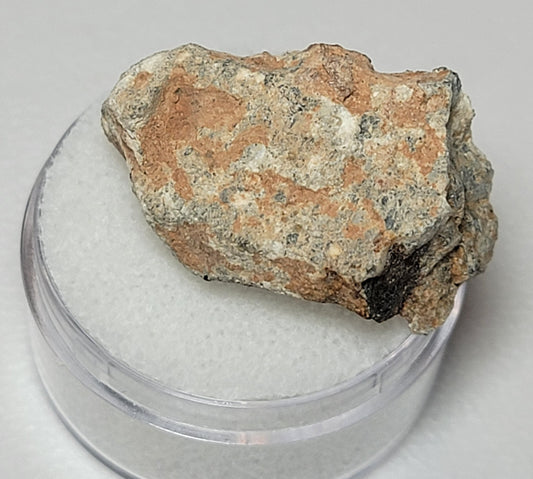 Bechar 003 Individual Lunar Felspathic Breccia Meteorite 6.3g