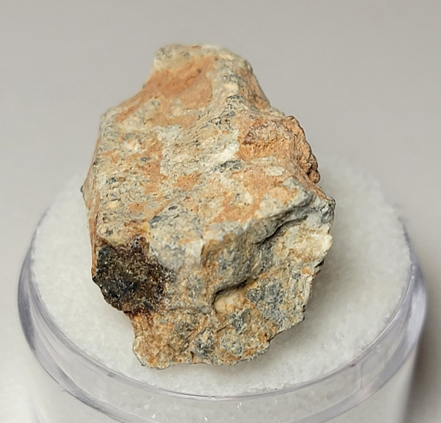 Bechar 003 Individual Lunar Felspathic Breccia Meteorite 6.3g