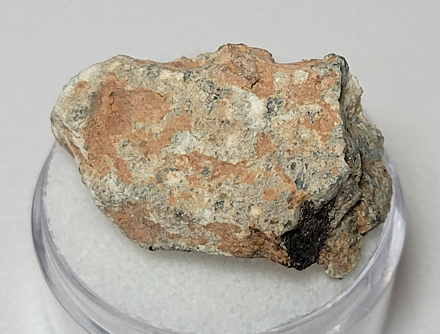 Bechar 003 Individual Lunar Felspathic Breccia Meteorite 6.3g