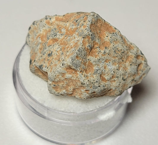Bechar 003 Individual Lunar Felspathic Breccia Meteorite 9.7g