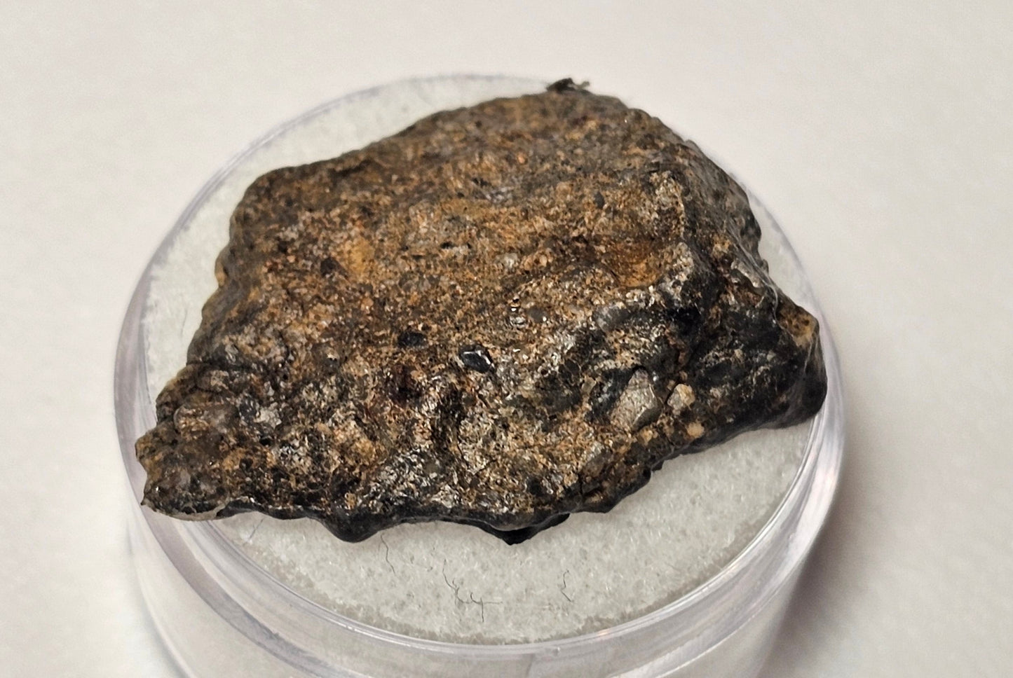 Bechar 003 Polished End Cut Lunar Felspathic Breccia Meteorite 4.28g