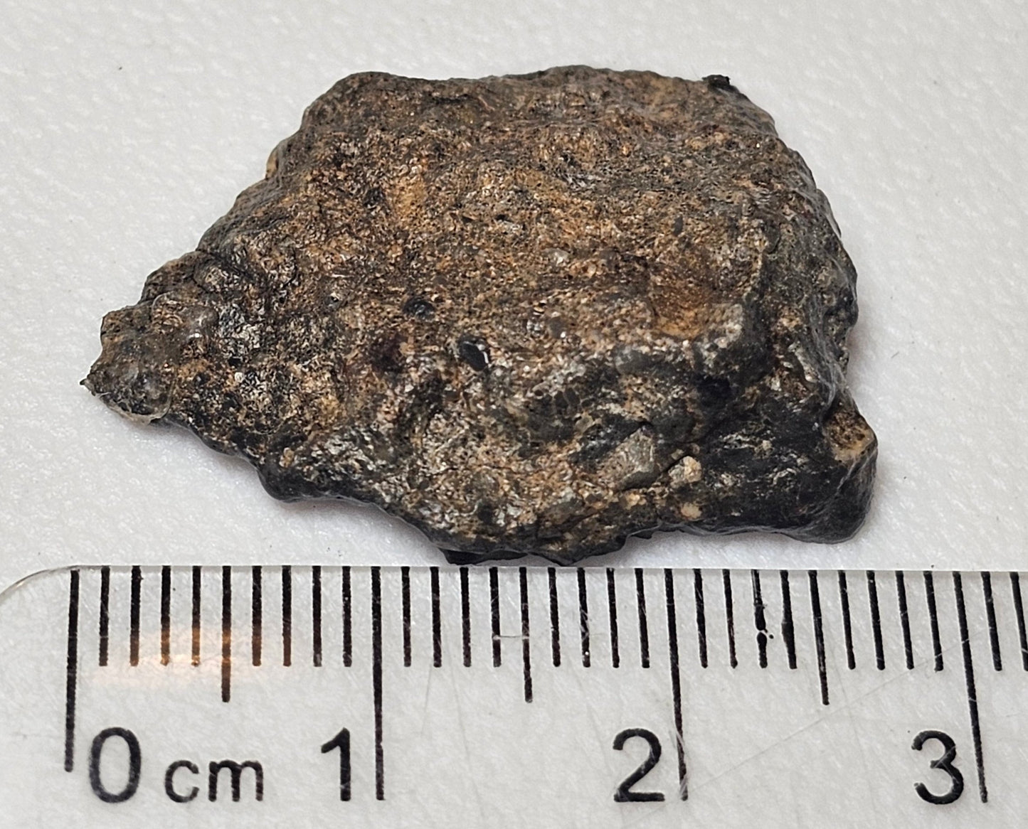 Bechar 003 Polished End Cut Lunar Felspathic Breccia Meteorite 4.28g