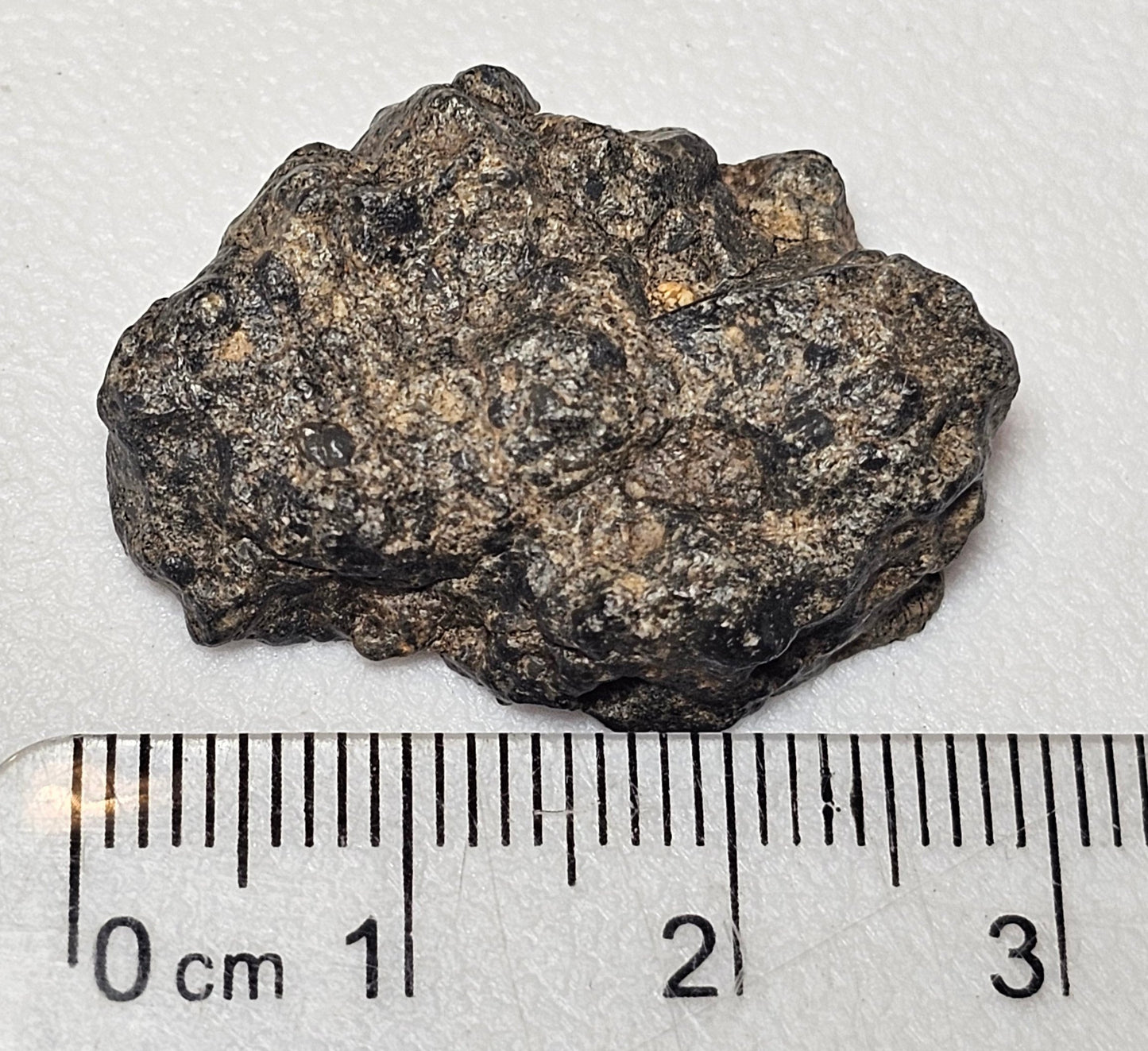 Bechar 003 Polished End Cut Lunar Felspathic Breccia Meteorite 6.45