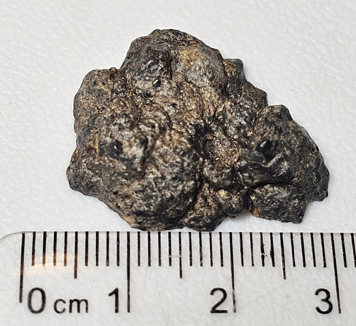 Bechar 003 Polished End Cut Lunar Felspathic Breccia Meteorite 4.48