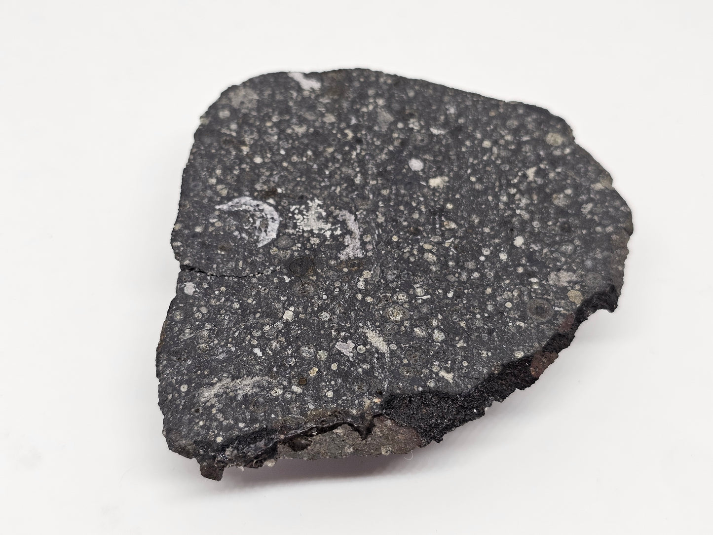 Allende Carbonaceous Chondrite CV3 16.42g Slice with Crust