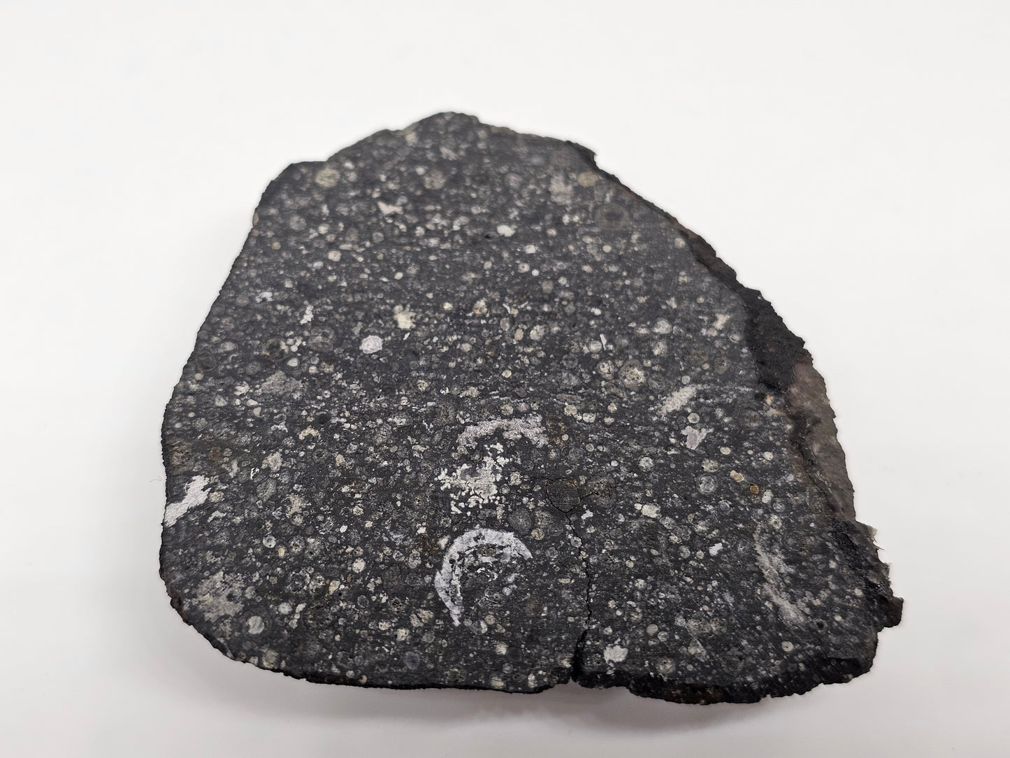 Allende Carbonaceous Chondrite CV3 16.42g Slice with Crust