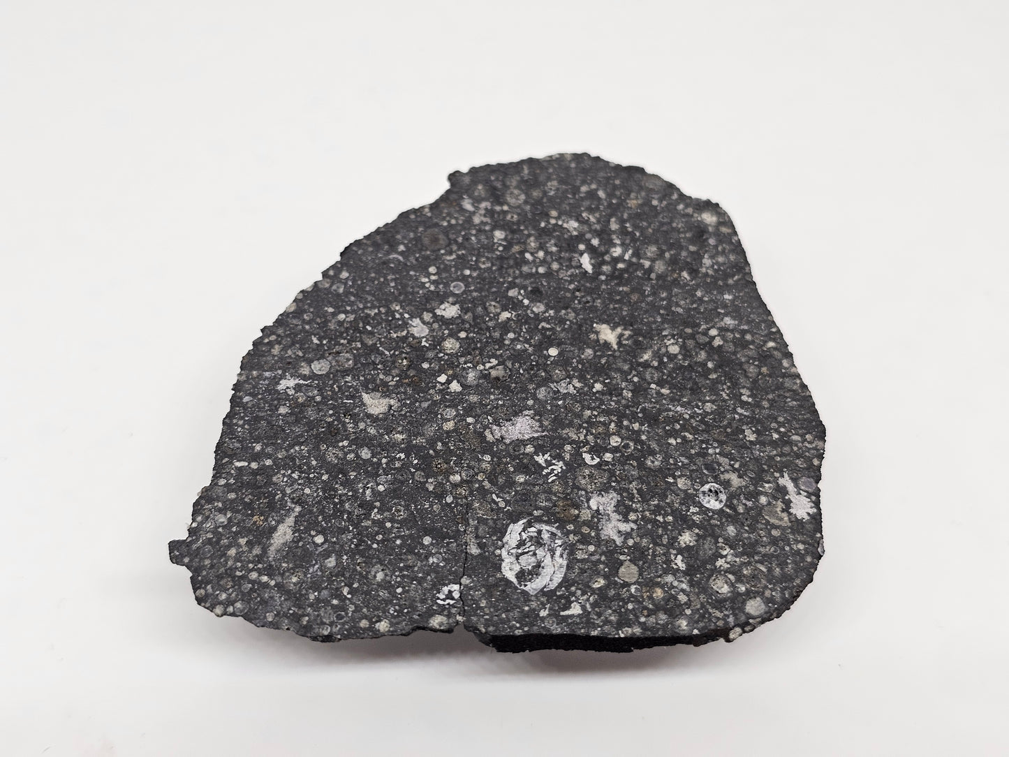 Allende Carbonaceous Chondrite CV3 16.42g Slice with Crust