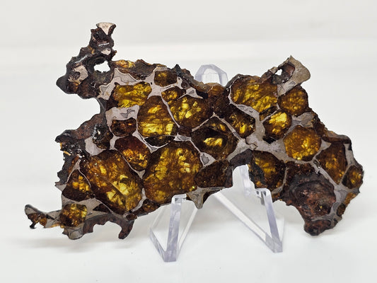 21.7 g - Imilac Pallasite TRANSLUCENT Cut-polished-etched Meteorite Slice