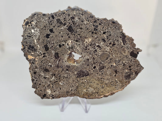 NEA 104 Slice of Lunar Troctolite Melt Breccia Meteorite 62.1g