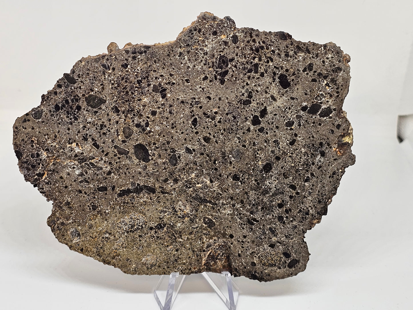 NEA 104 Slice of Lunar Troctolite Melt Breccia Meteorite 70g