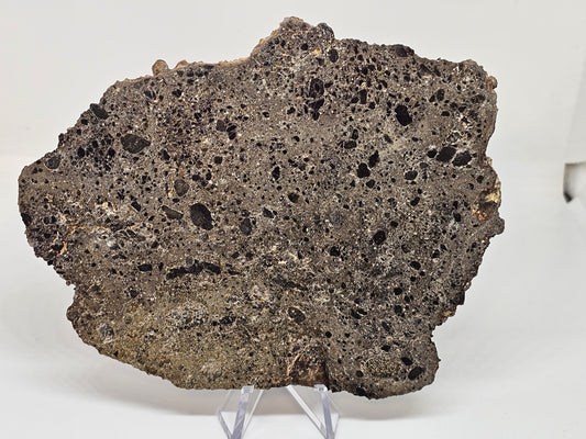 NEA 104 Slice of Lunar Troctolite Melt Breccia Meteorite 70g