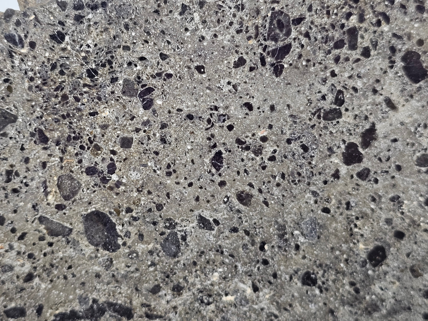 NEA 104 Slice of Lunar Troctolite Melt Breccia Meteorite 70g