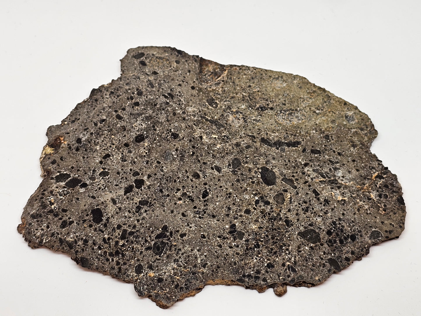 NEA 104 Slice of Lunar Troctolite Melt Breccia Meteorite 70g