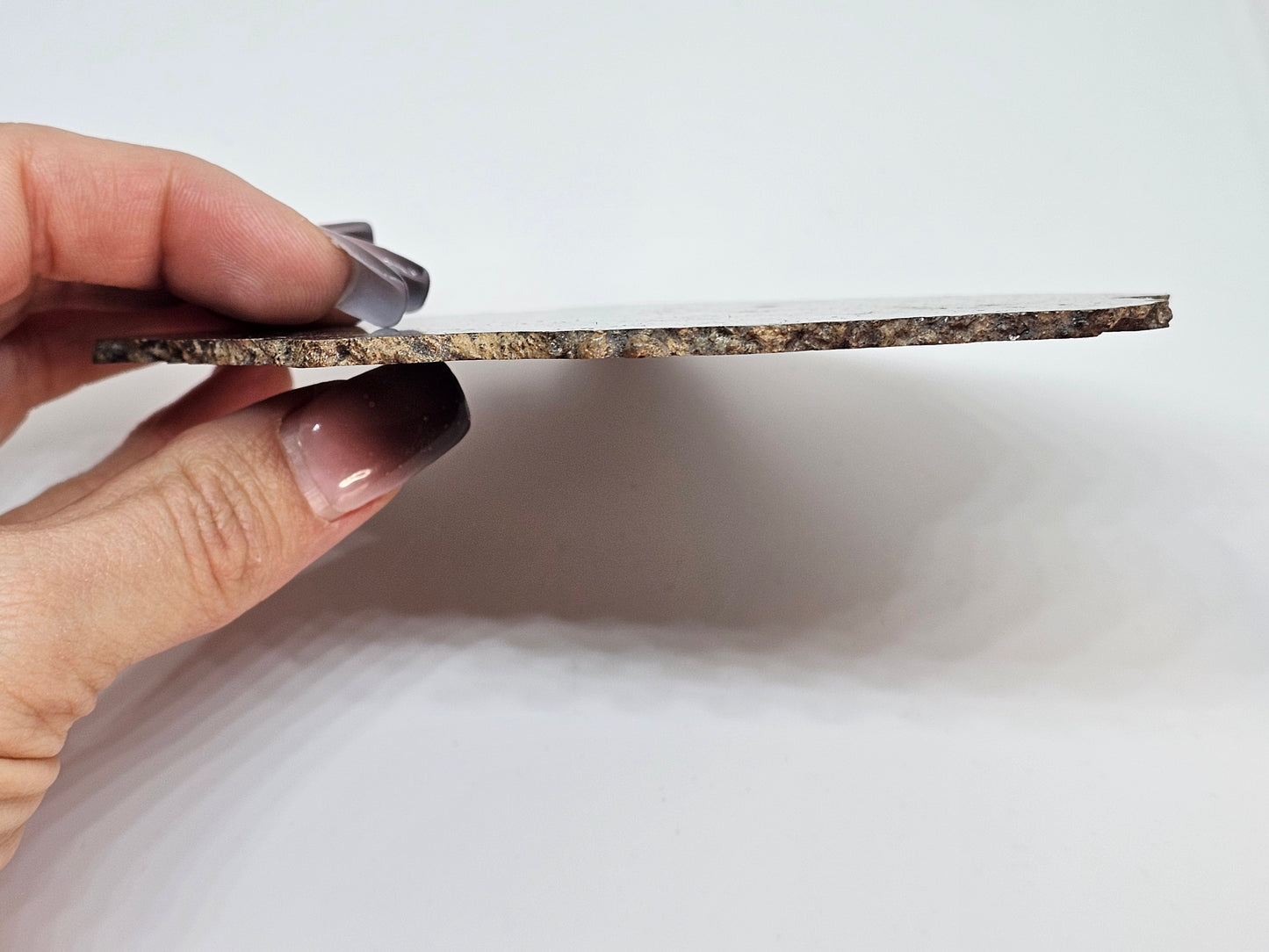 NEA 104 Slice of Lunar Troctolite Melt Breccia Meteorite 70g