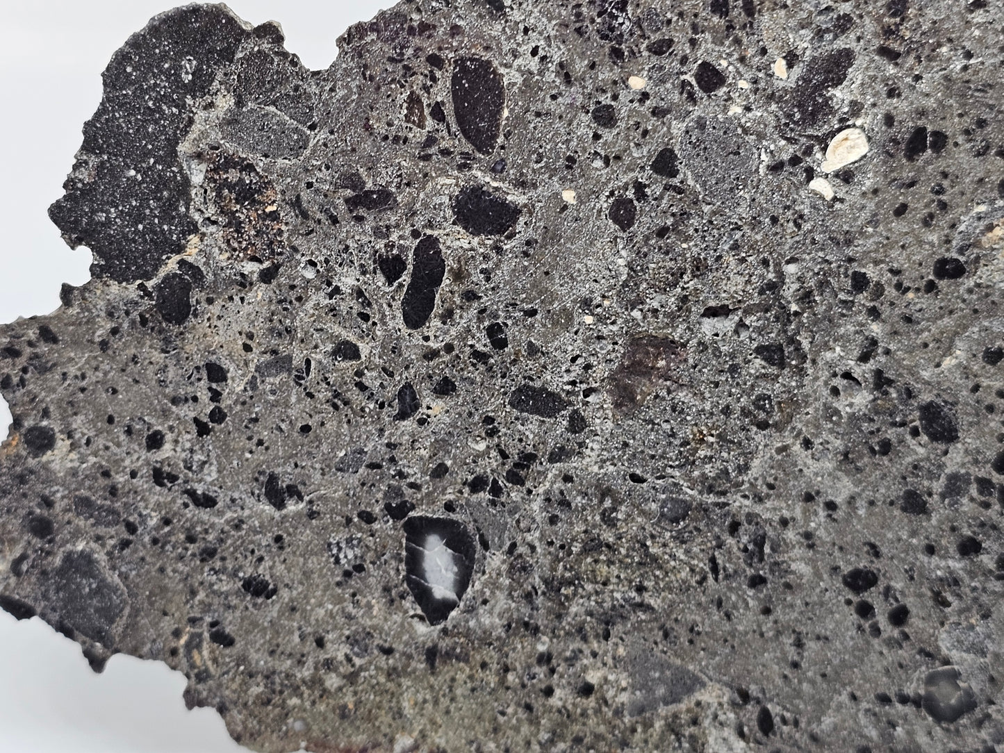 NEA 104 Slice of Lunar Troctolite Melt Breccia Meteorite 50g