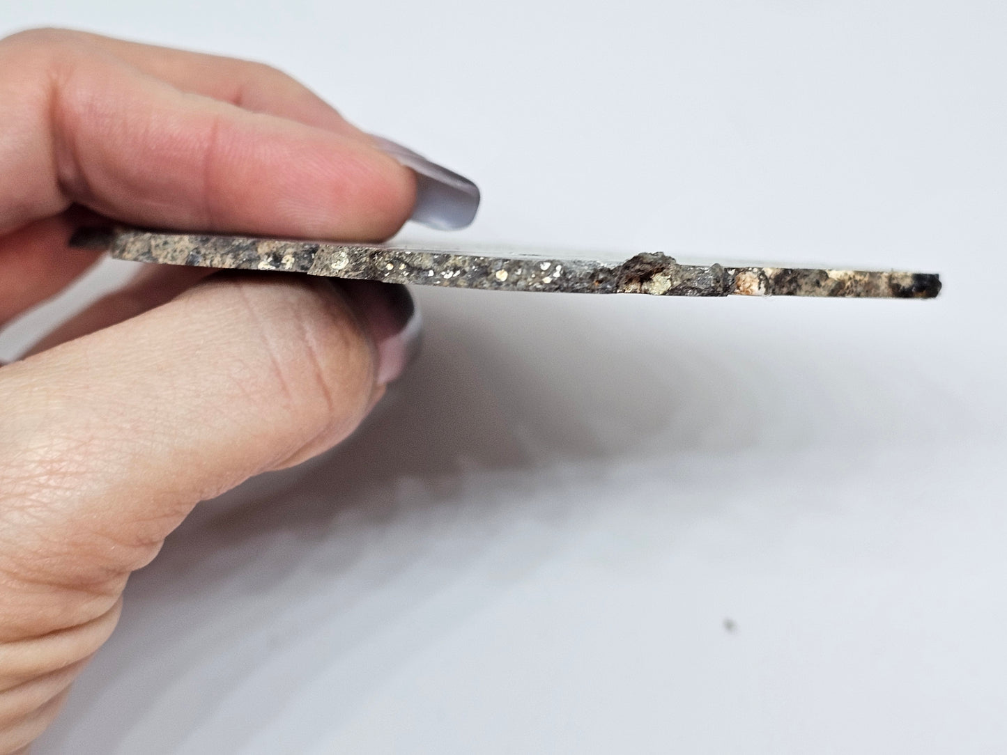 NEA 104 Slice of Lunar Troctolite Melt Breccia Meteorite 50g