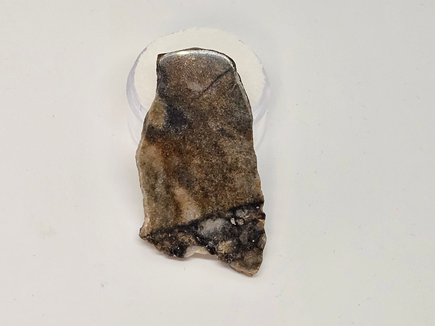 Nagjir 005 TRANSLUCENT Lunar Melt Breccia Meteorite Slice 6.17g