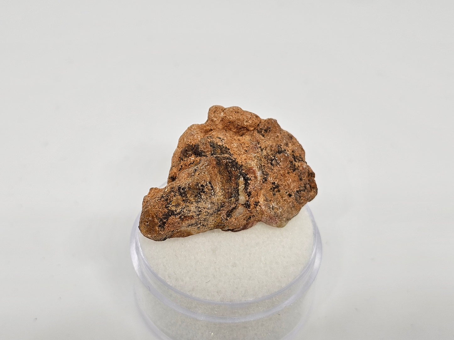 Bechar 003 Individual Lunar Felspathic Breccia Meteorite 6.9g