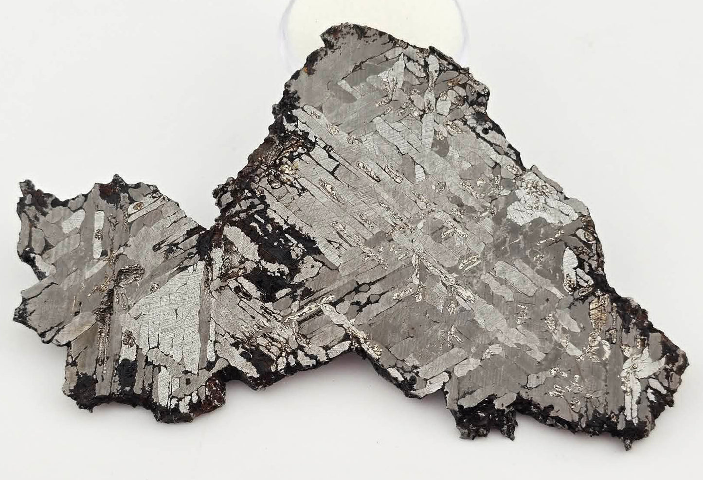 KAALIJARV - Iron Meteorite (IAG-MG) Slice from the Crater Field in Estonia 69.3g
