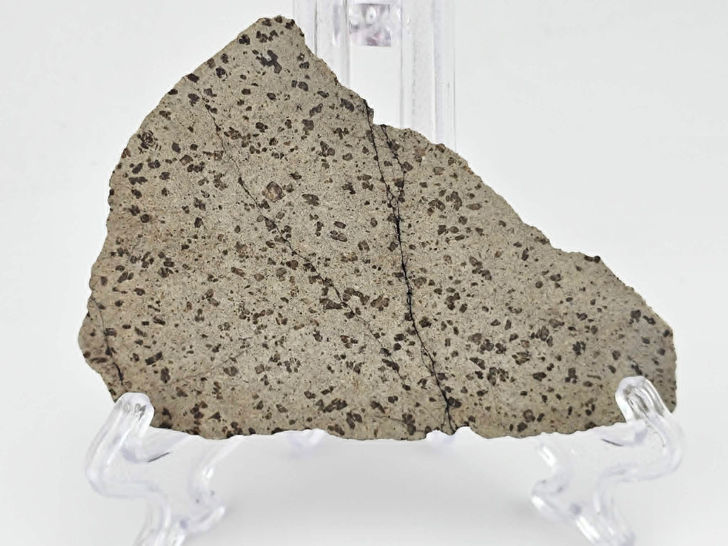 Tarkint 001 Martian Shergottite 29.4g Polished Complete Slice
