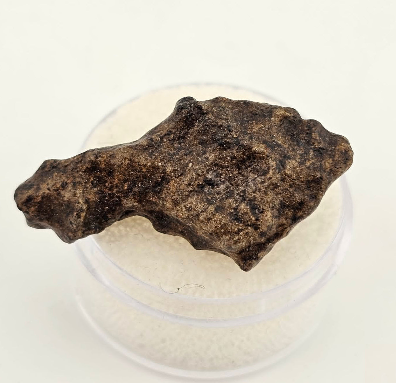 Amgala 001 - Martian Shergottite - 5.57 gram individual