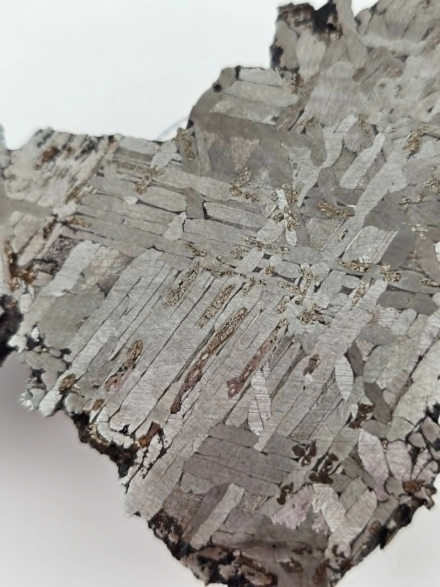 KAALIJARV - Iron Meteorite (IAG-MG) Slice from the Crater Field in Estonia 69.3g