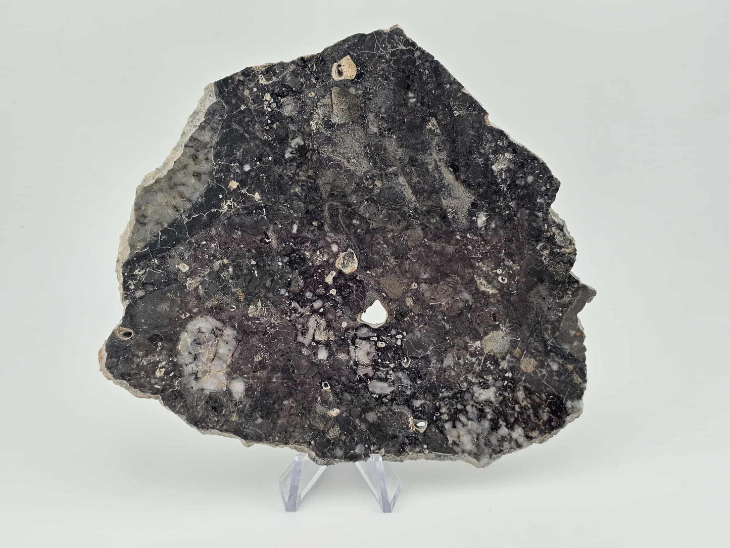 Nagjir 005 TRANSLUCENT Lunar Melt Breccia Meteorite Slice 81.3g