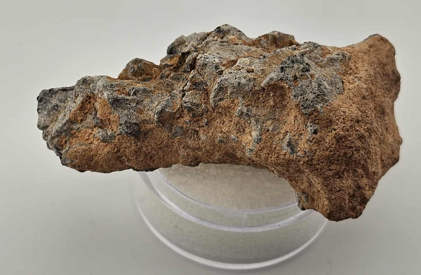 16.9 grams Bechar 003 Lunar Meteorite Moon Individual w/ COA – Star ...