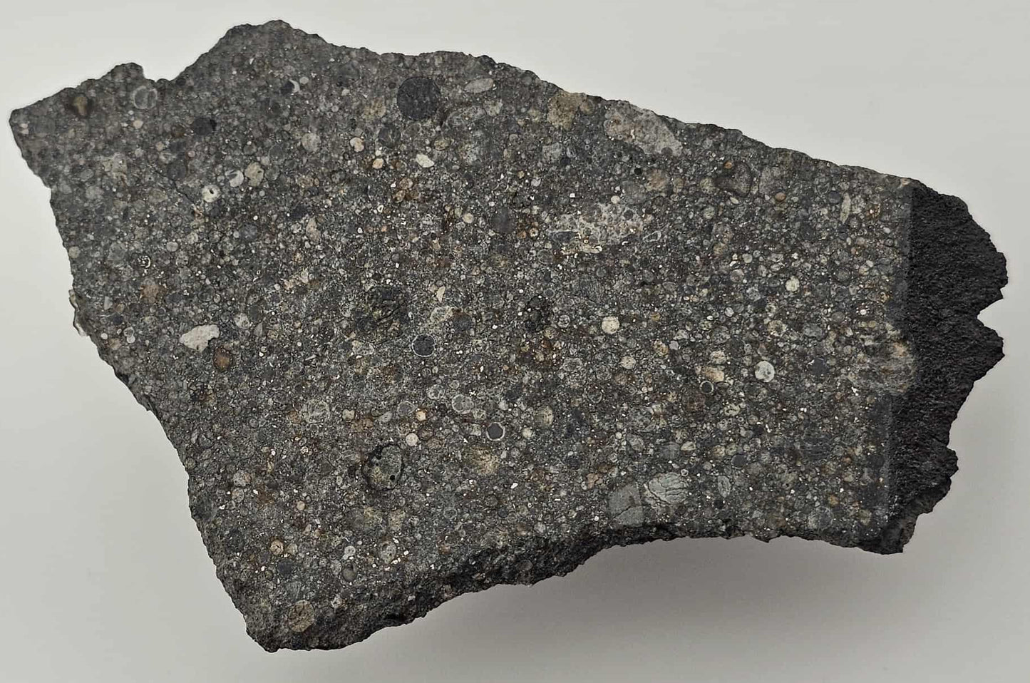 Taoussat-n-Amouzzour 001 - OC Meteorite L3.2 Polished Slice with Crust - 19.77g