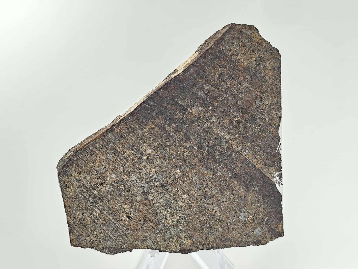 Broken Hill Meteorite Slice from Australia found in 1944 - 88.11g