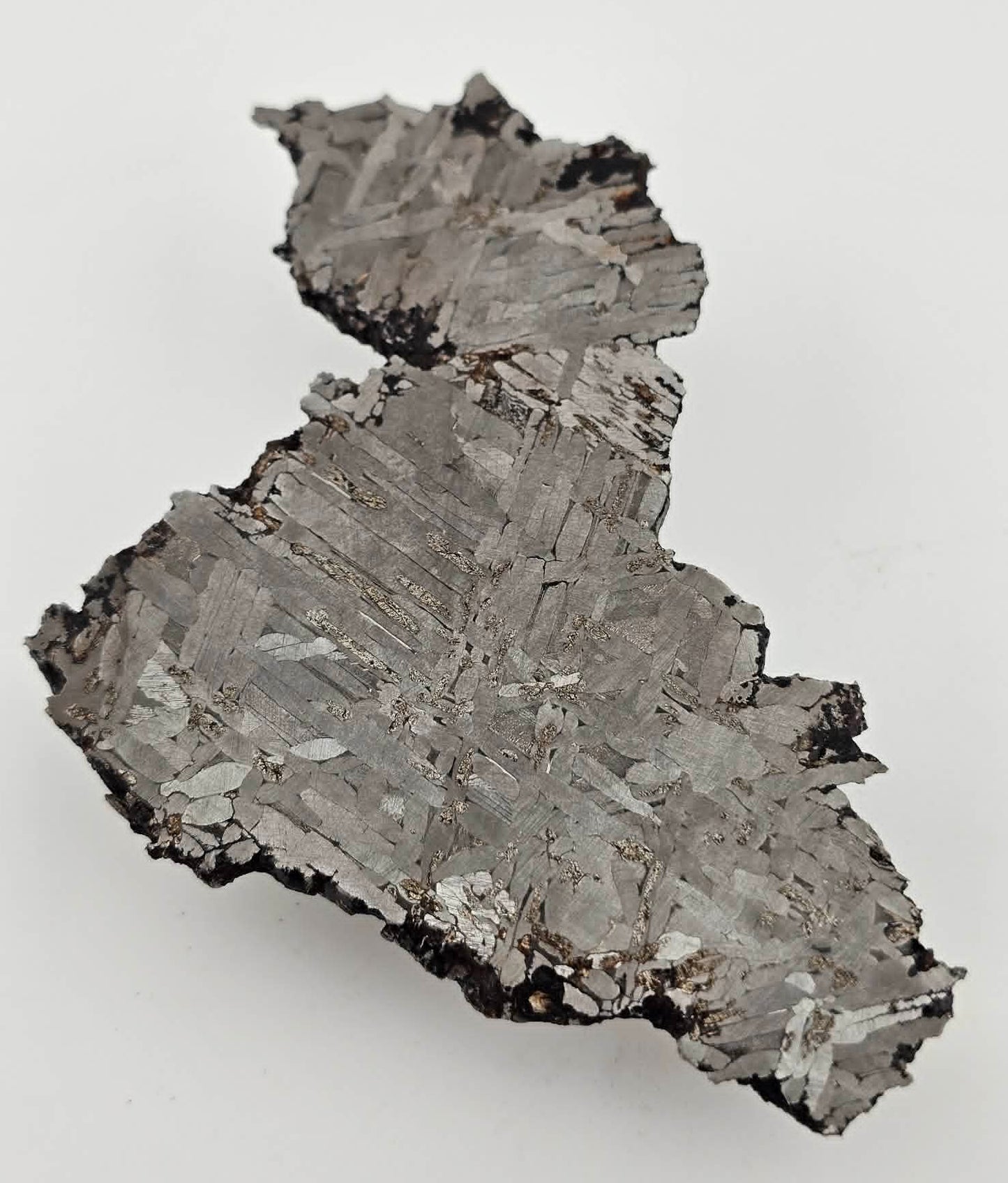 KAALIJARV - Iron Meteorite (IAG-MG) Slice from the Crater Field in Estonia 69.3g