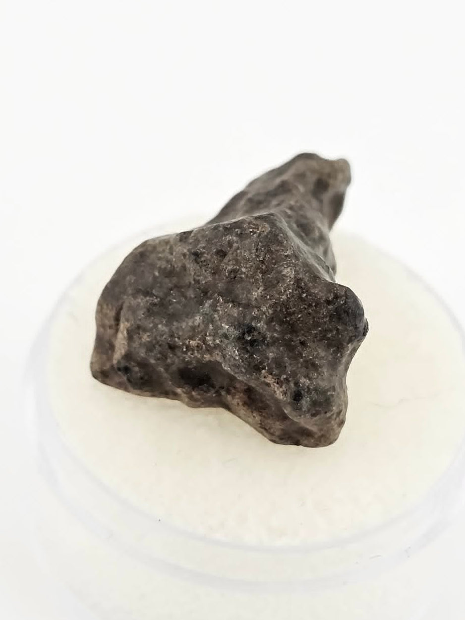 Amgala 001 - Martian Shergottite - 4.9 gram individual
