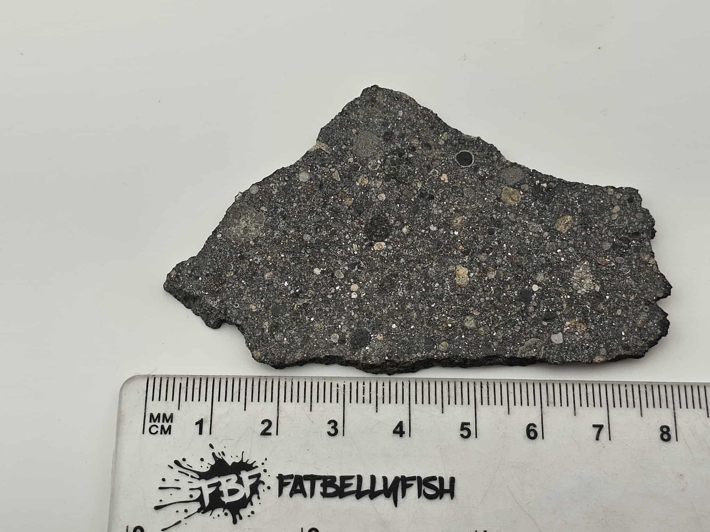 Taoussat-n-Amouzzour 001 - OC Meteorite L3.2 Polished Slice with Crust - 19.77g
