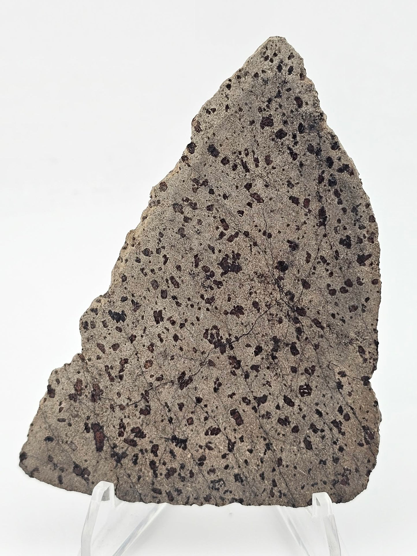 Tarkint 001 Martian Shergottite 17.6g Polished Complete Slice