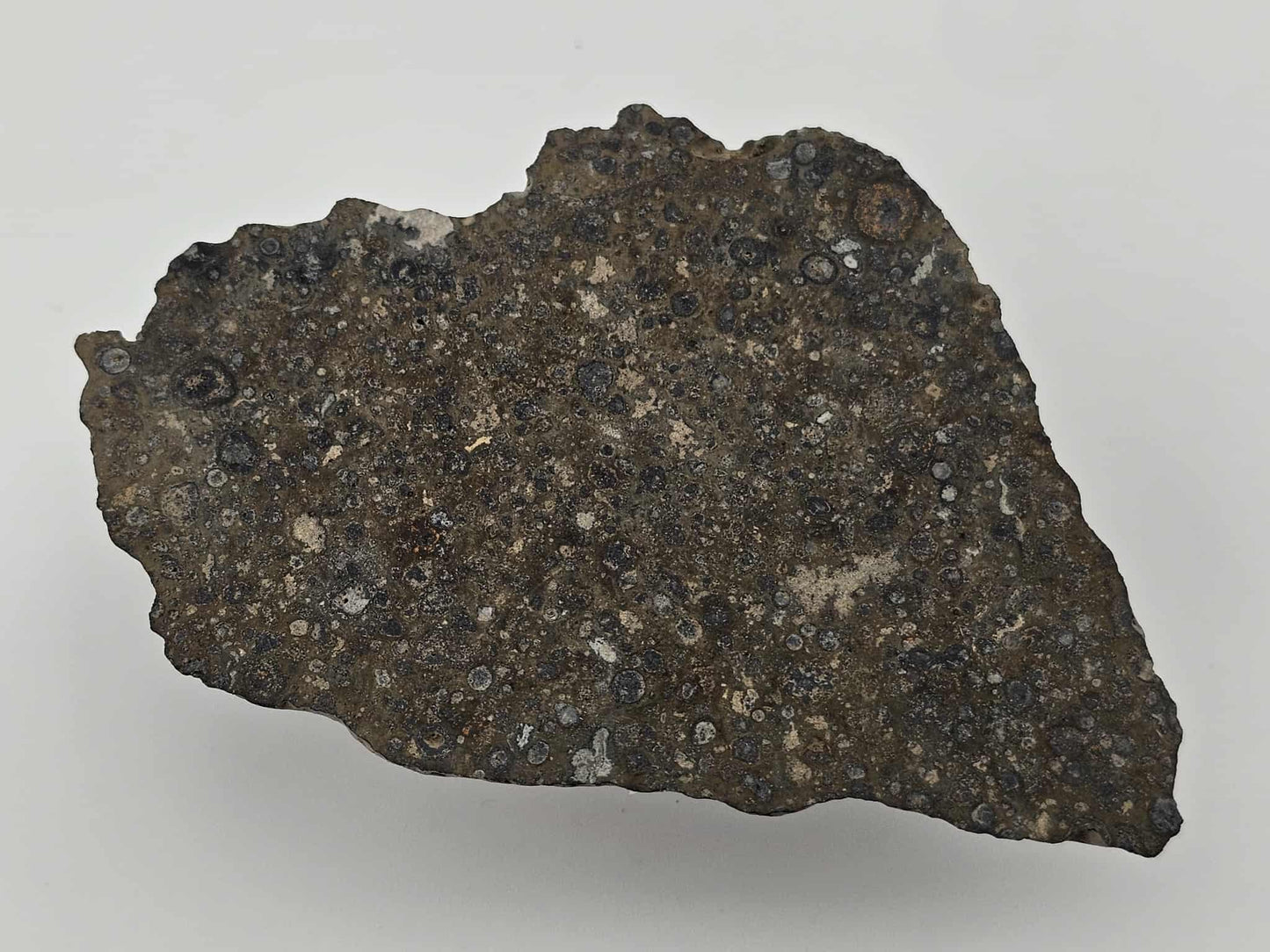 NWA 14743 Carbonaceous Chondrite Meteorite CVox3 Complete Slice - 15.92g