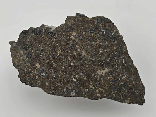 NWA 14743 Carbonaceous Chondrite Meteorite CVox3 Complete Slice - 15.92g