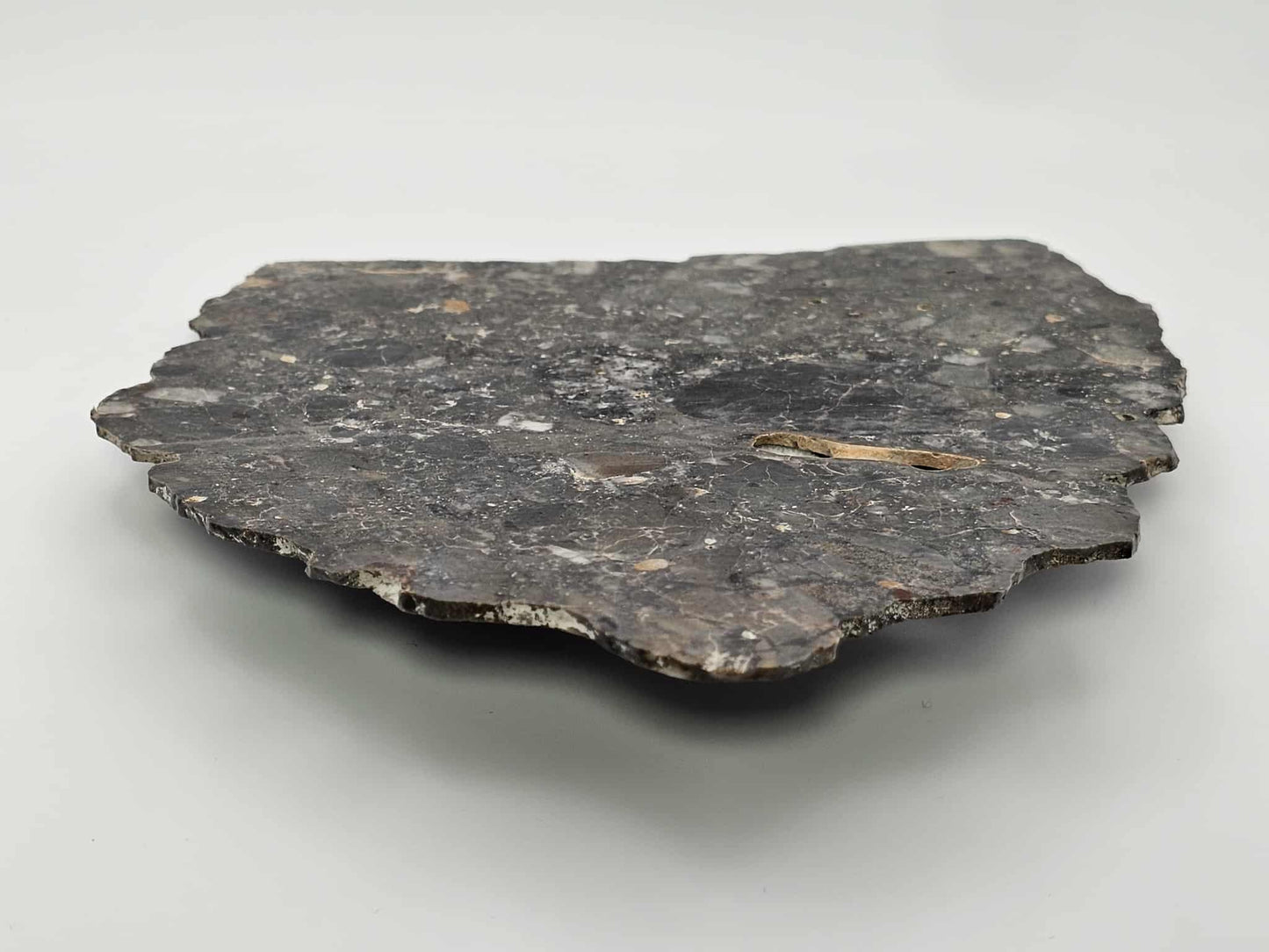 Nagjir 005 TRANSLUCENT Lunar Melt Breccia Meteorite Slice 76g