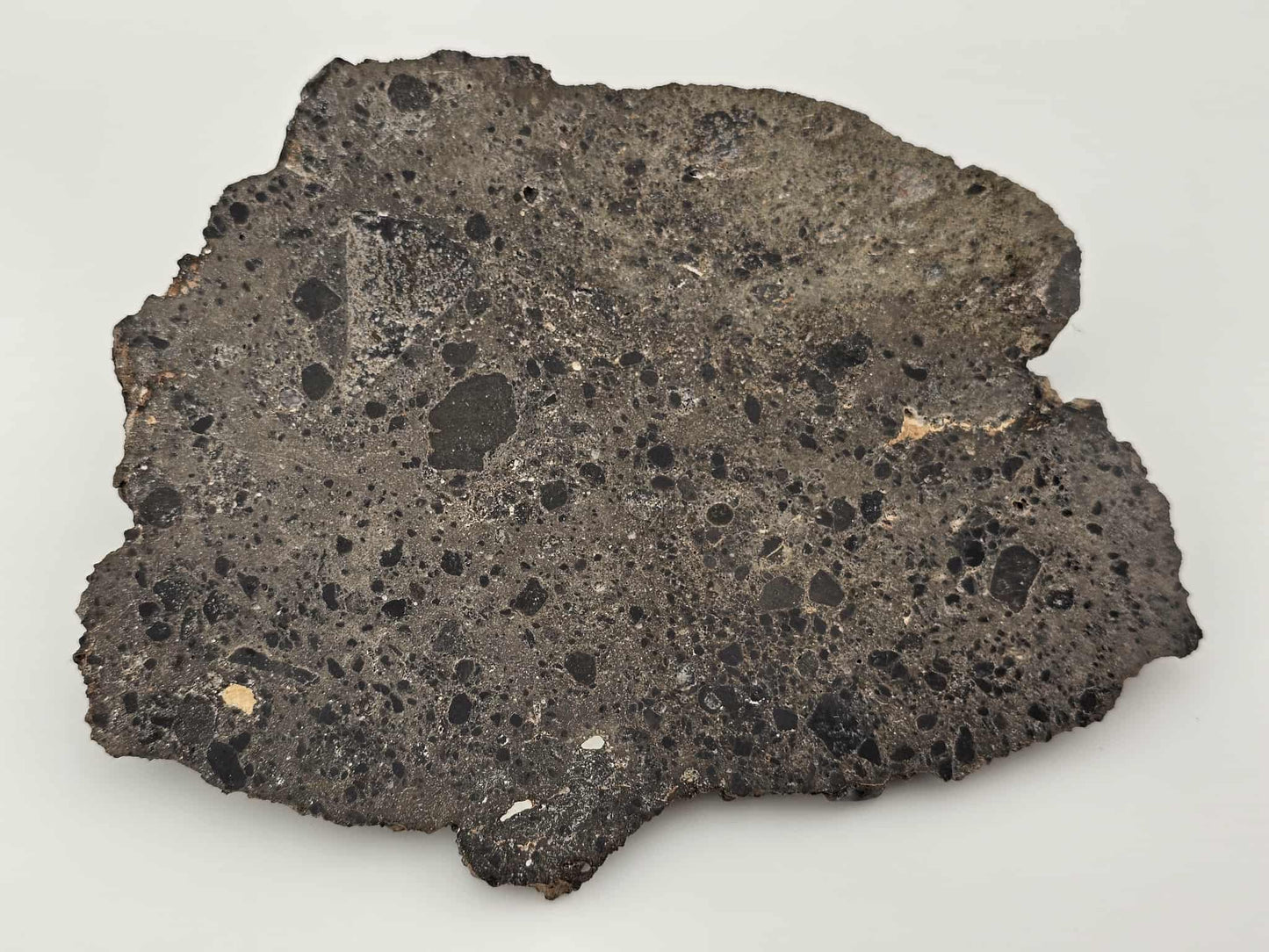 NEA 104 Slice of Lunar Troctolite Melt Breccia Meteorite 101.9g
