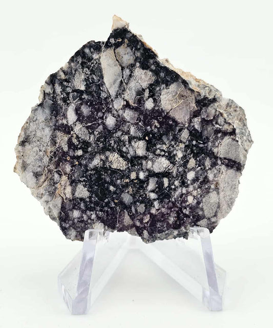NWA 15629 Mingled Feldspathic Basalt Breccia 14.5g Slice