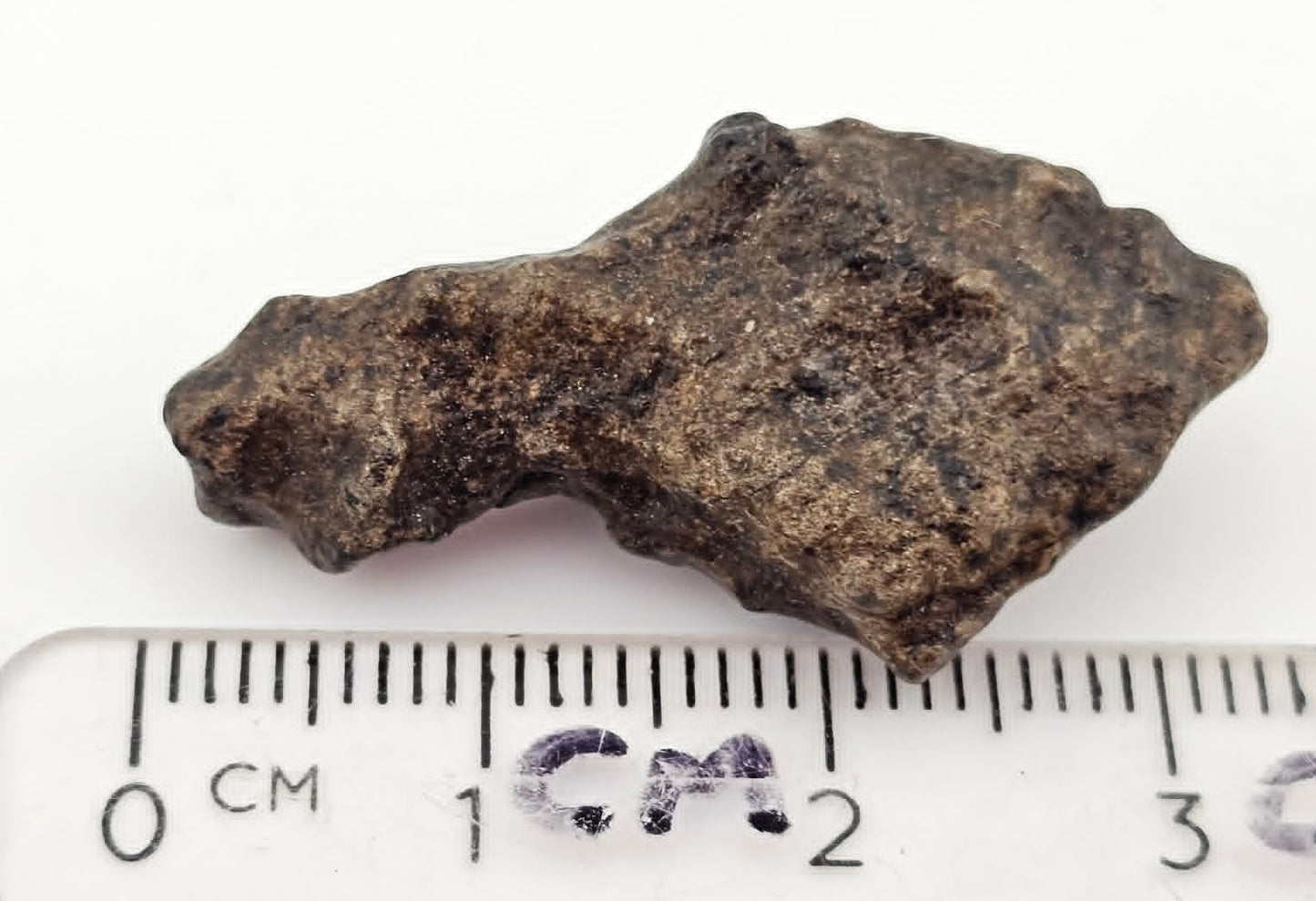 Amgala 001 - Martian Shergottite - 5.57 gram individual