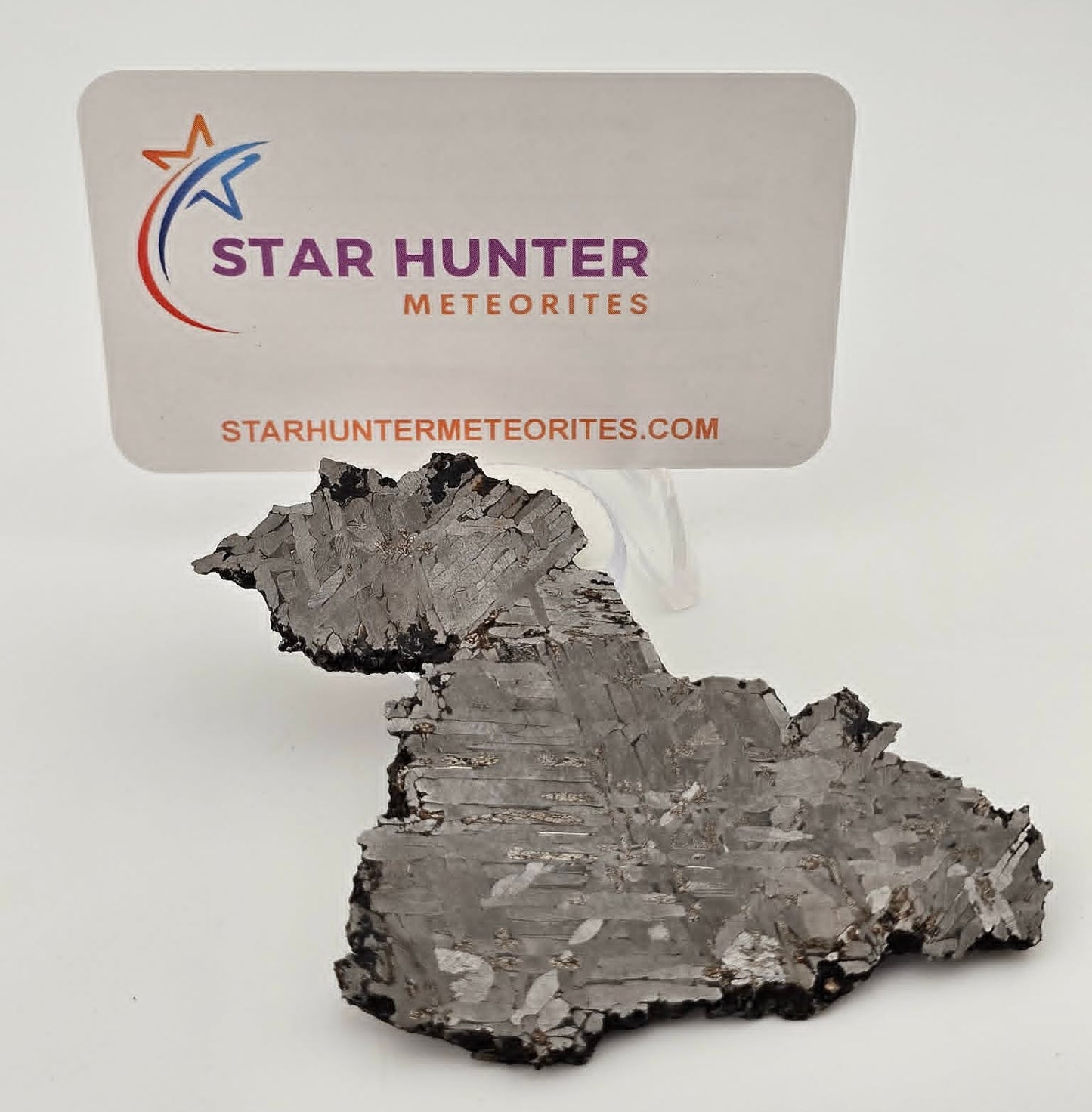 KAALIJARV - Iron Meteorite (IAG-MG) Slice from the Crater Field in Estonia 69.3g