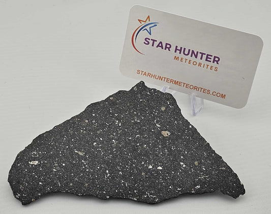 Aba Panu Ordinary Chondrite (L3) 61g Polished Complete Meteorite Slice