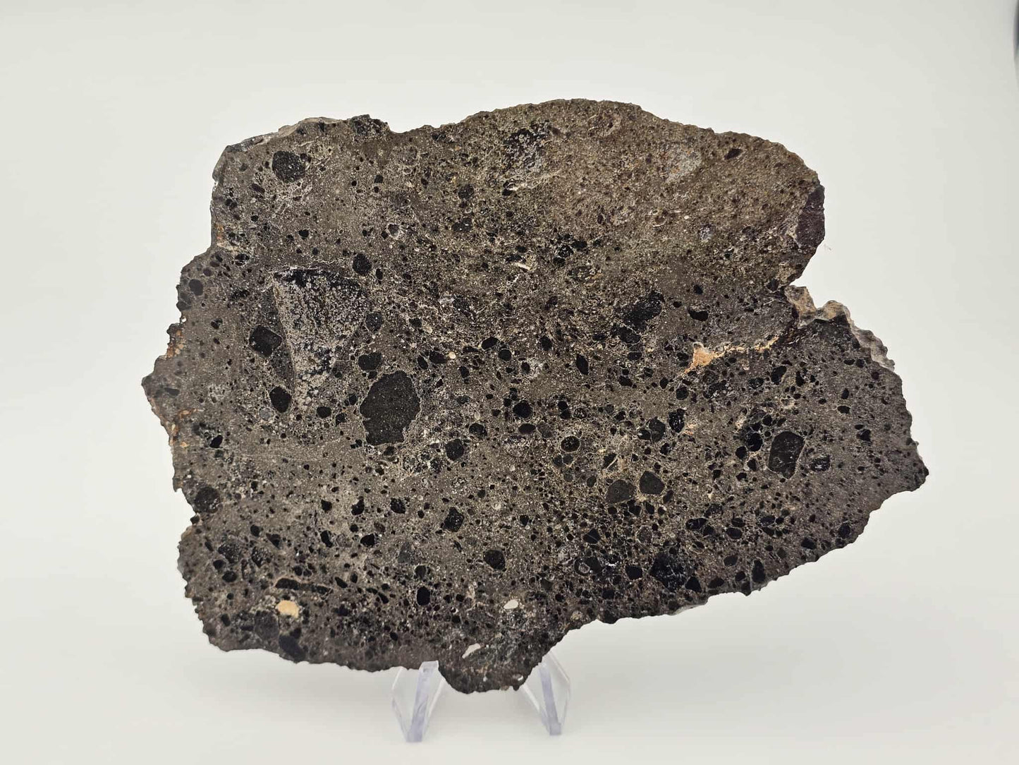 NEA 104 Slice of Lunar Troctolite Melt Breccia Meteorite 101.9g