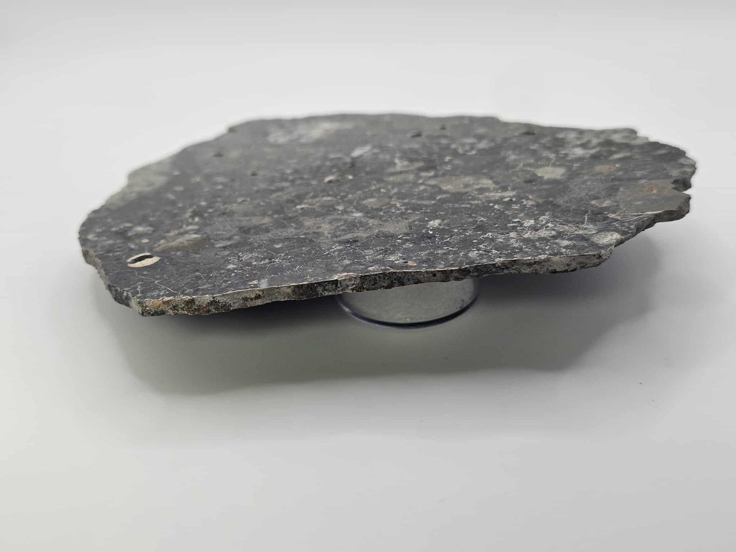 Nagjir 005 TRANSLUCENT Lunar Melt Breccia Meteorite Slice 82.9g