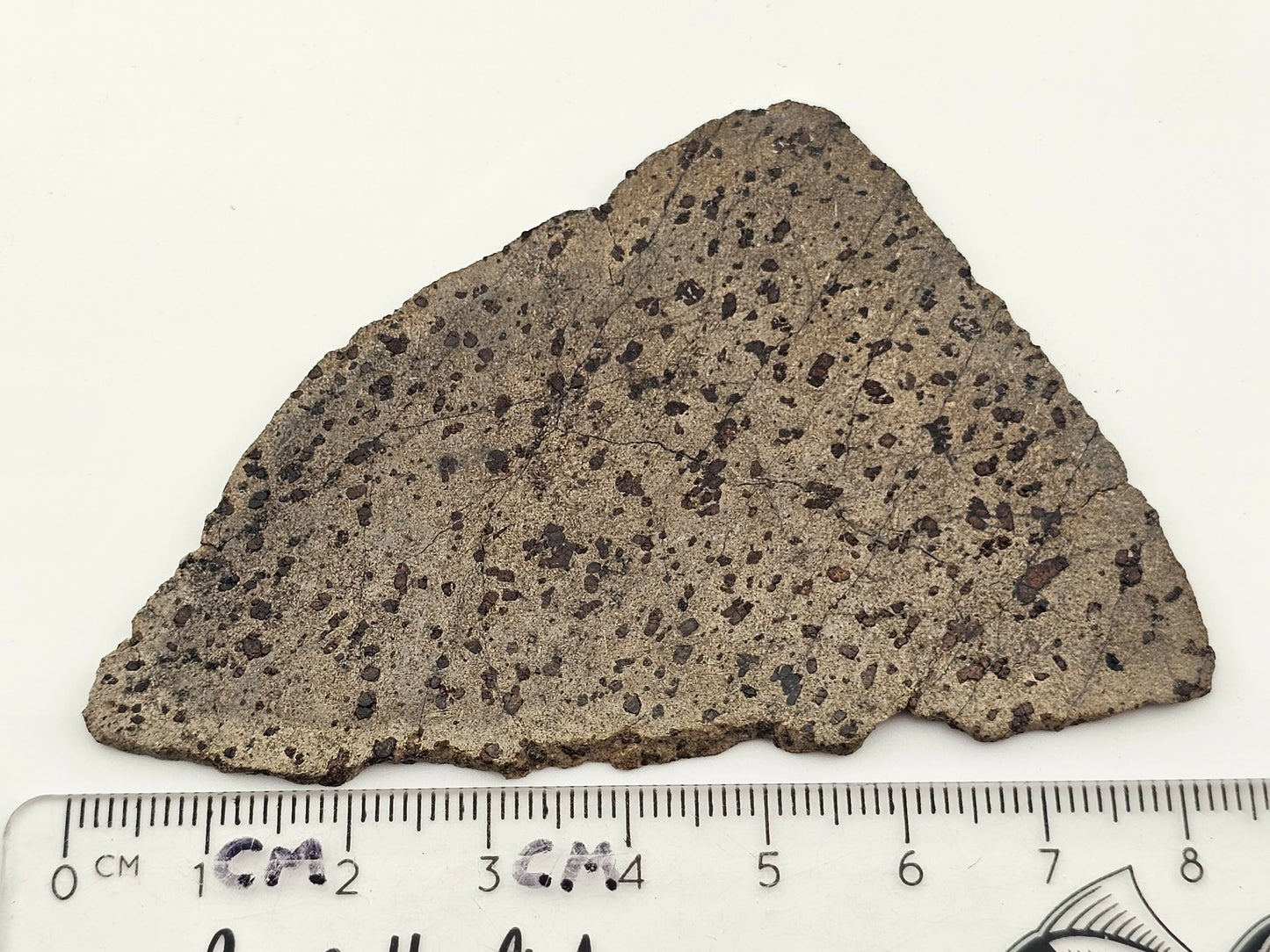 Tarkint 001 Martian Shergottite 17.6g Polished Complete Slice