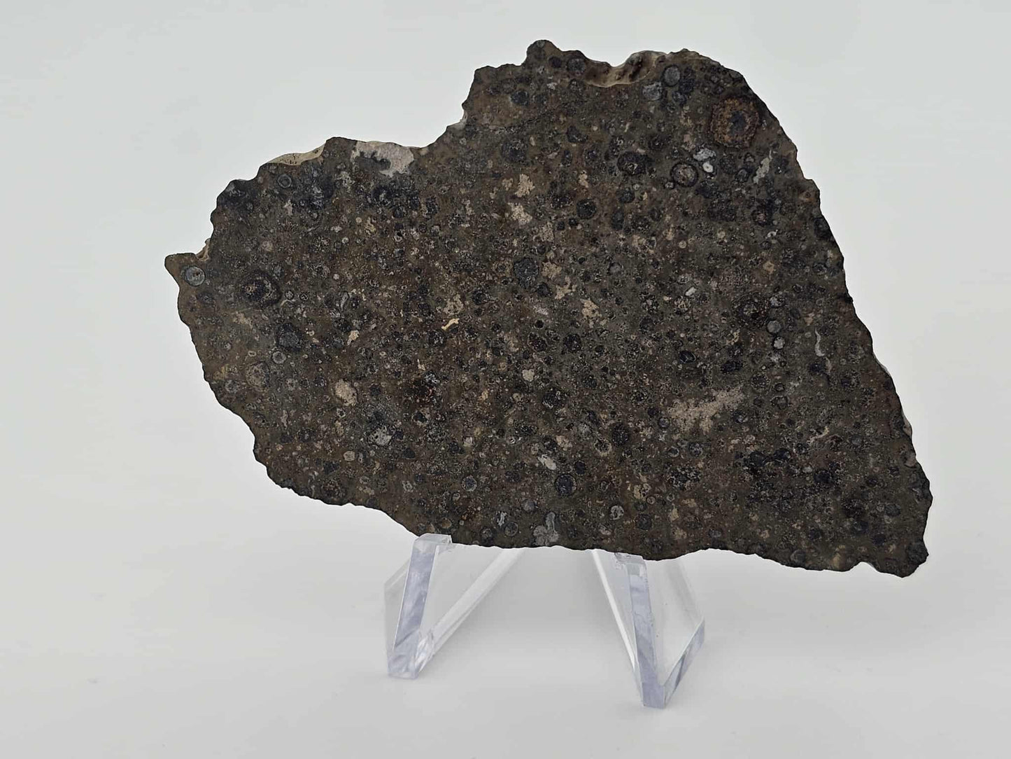NWA 14743 Carbonaceous Chondrite Meteorite CVox3 Complete Slice - 15.92g