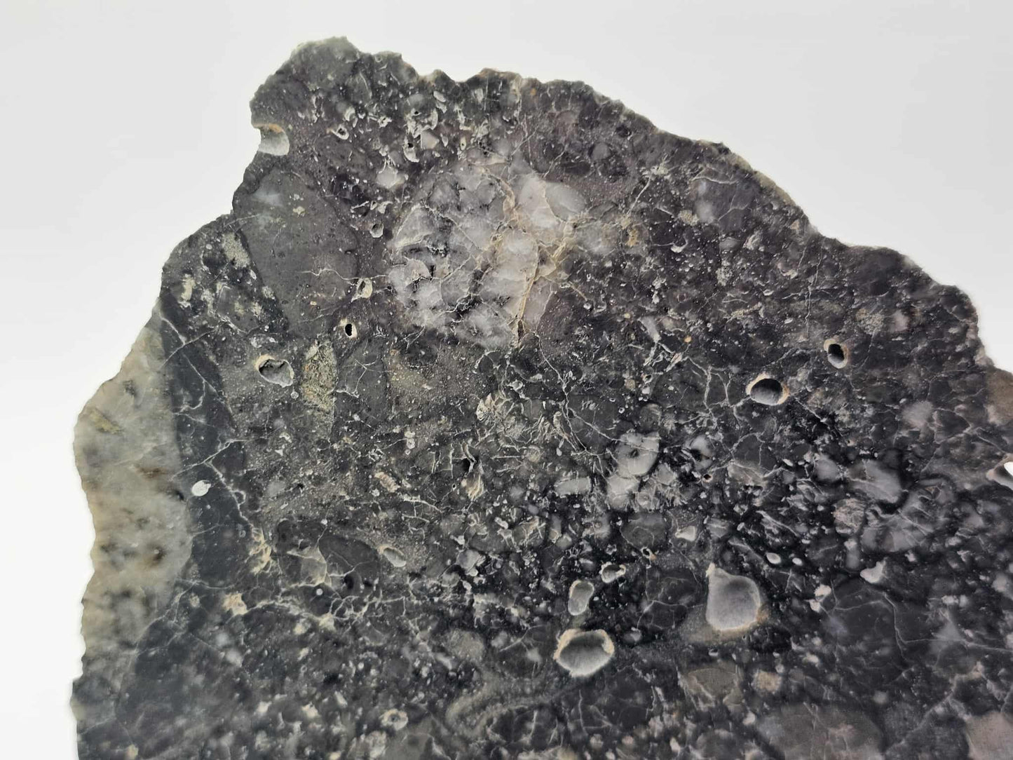 Nagjir 005 TRANSLUCENT Lunar Melt Breccia Meteorite Slice 82.9g