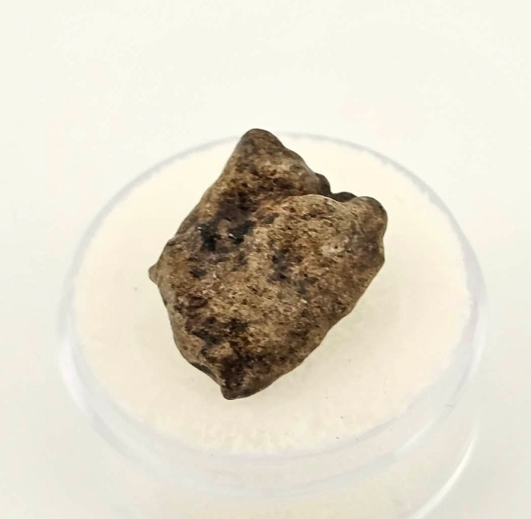 Amgala 001 - Martian Shergottite - 2.21 gram individual